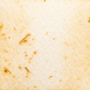 1　かさかさ黄茶色