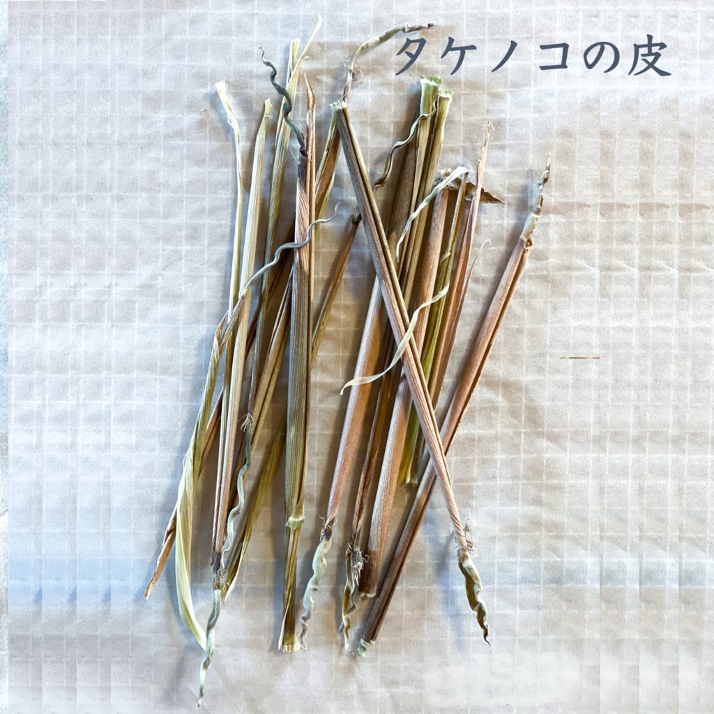 タケノコの皮