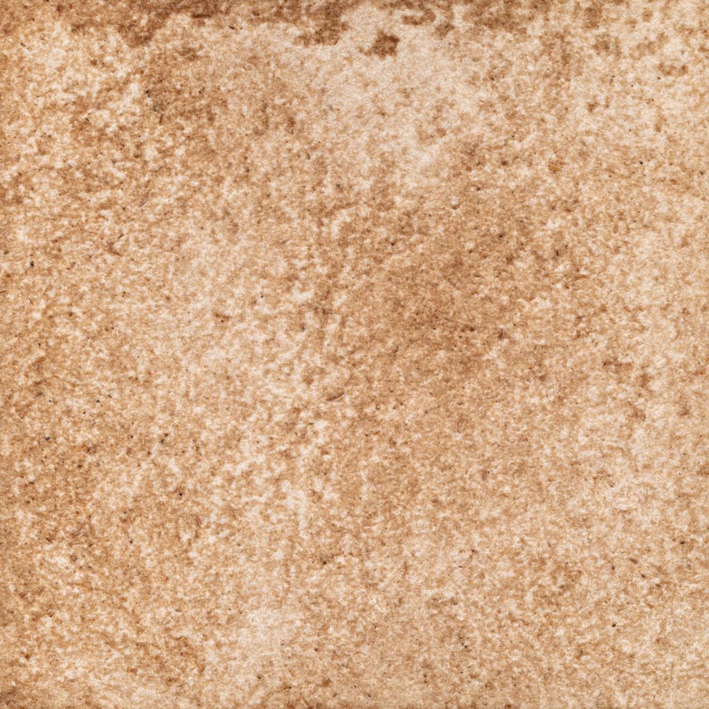 3　むらさきこげちゃいろ