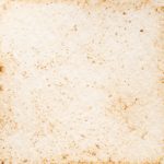 5　ゲンハリソウ