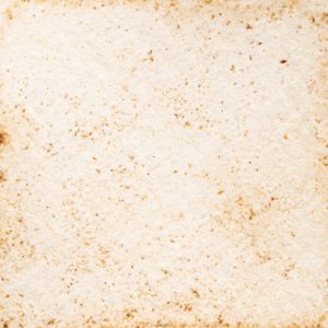 5　ゲンハリソウ