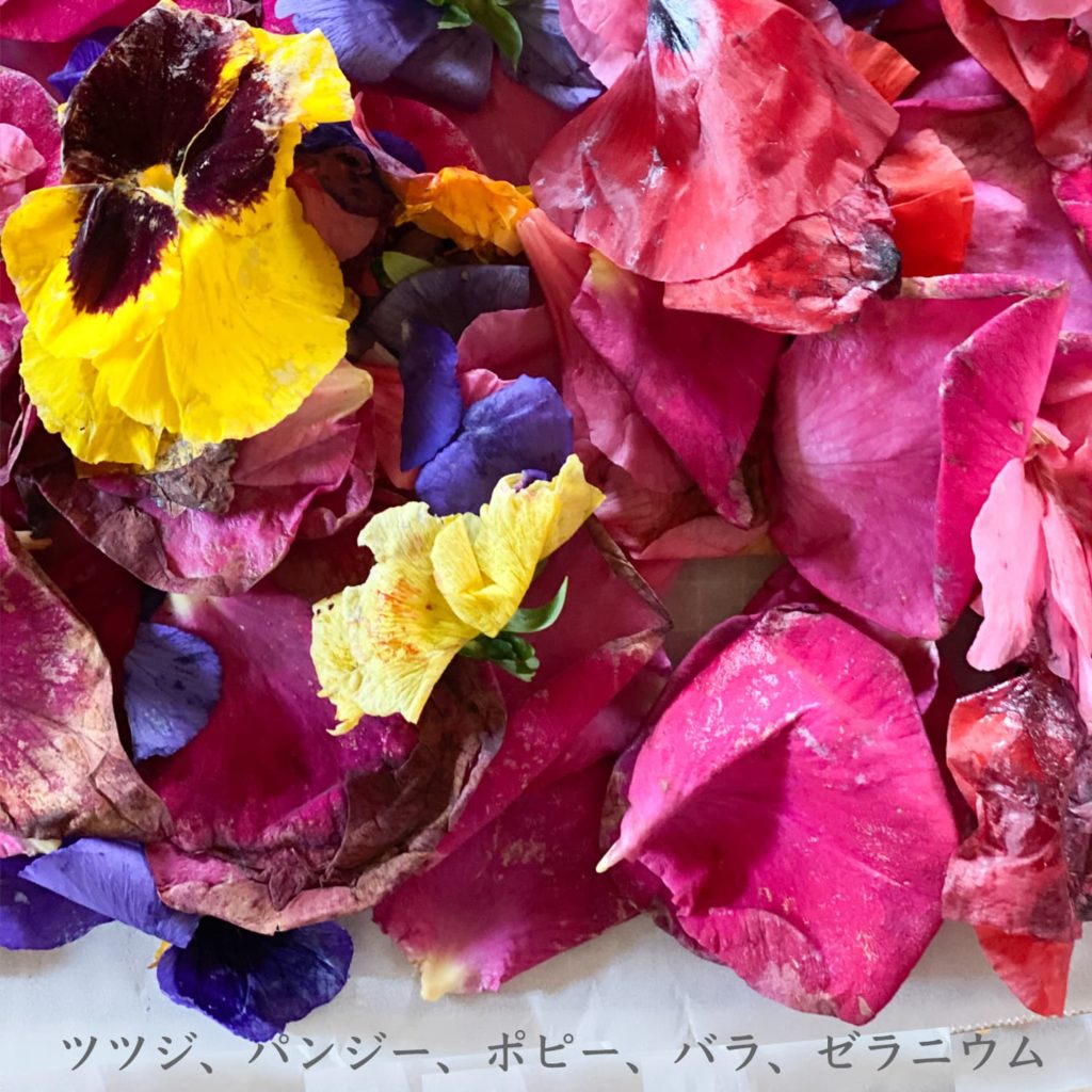 ツツジ、ポピー、バラ、ゼラニウム