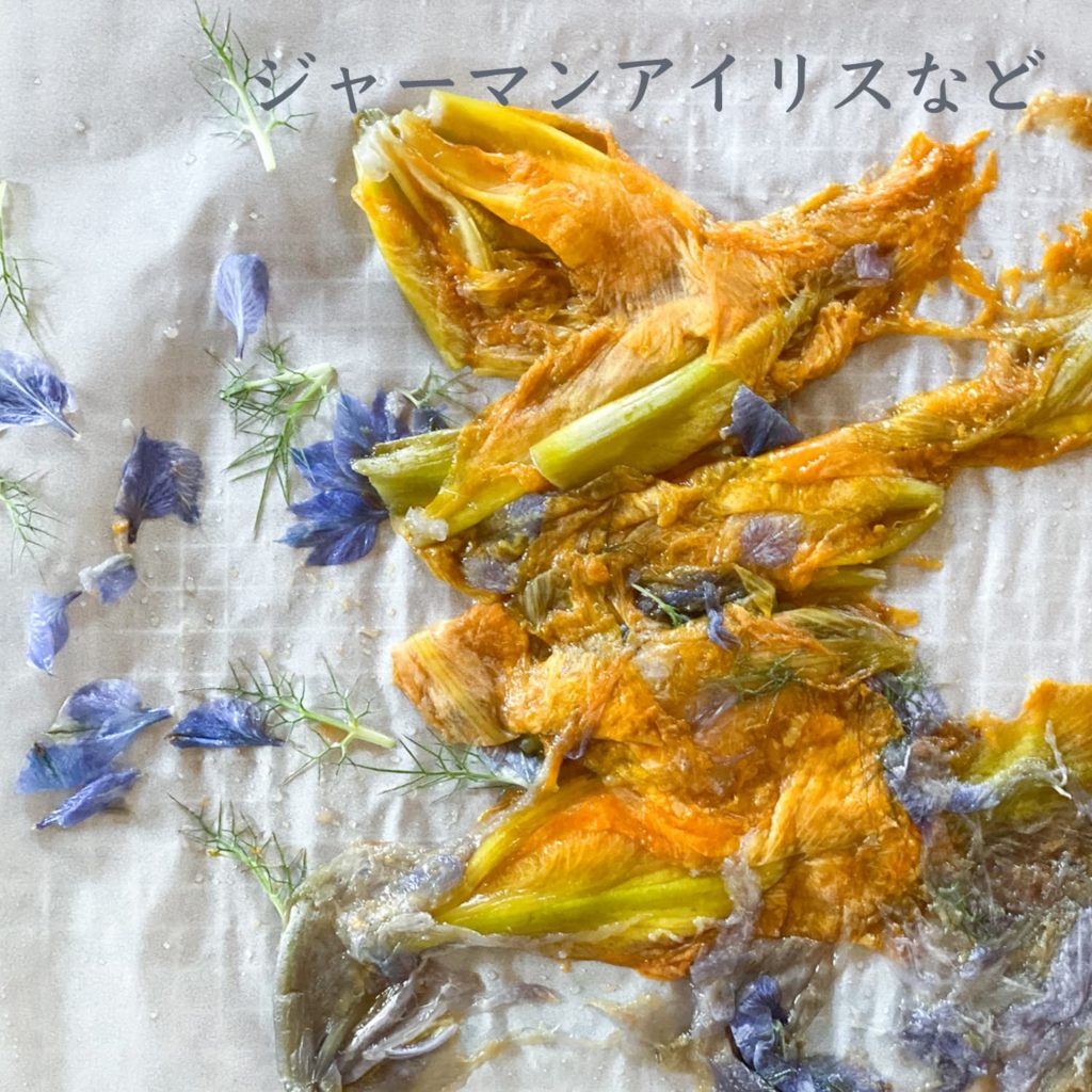 ジャーマンアイリスなど