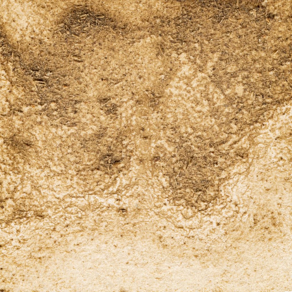 12　まっちゃいろ