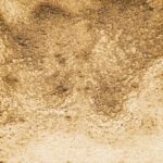 12　まっちゃいろ