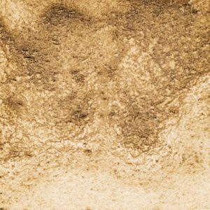 12　まっちゃいろ