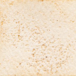 14　たけのこ色