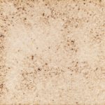 15　むらさきつゆくさの絵の具