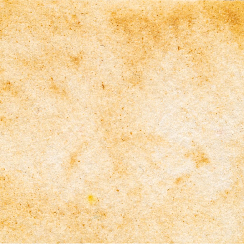 16　はだいろボタン