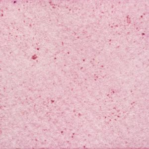 17　ローズレッド