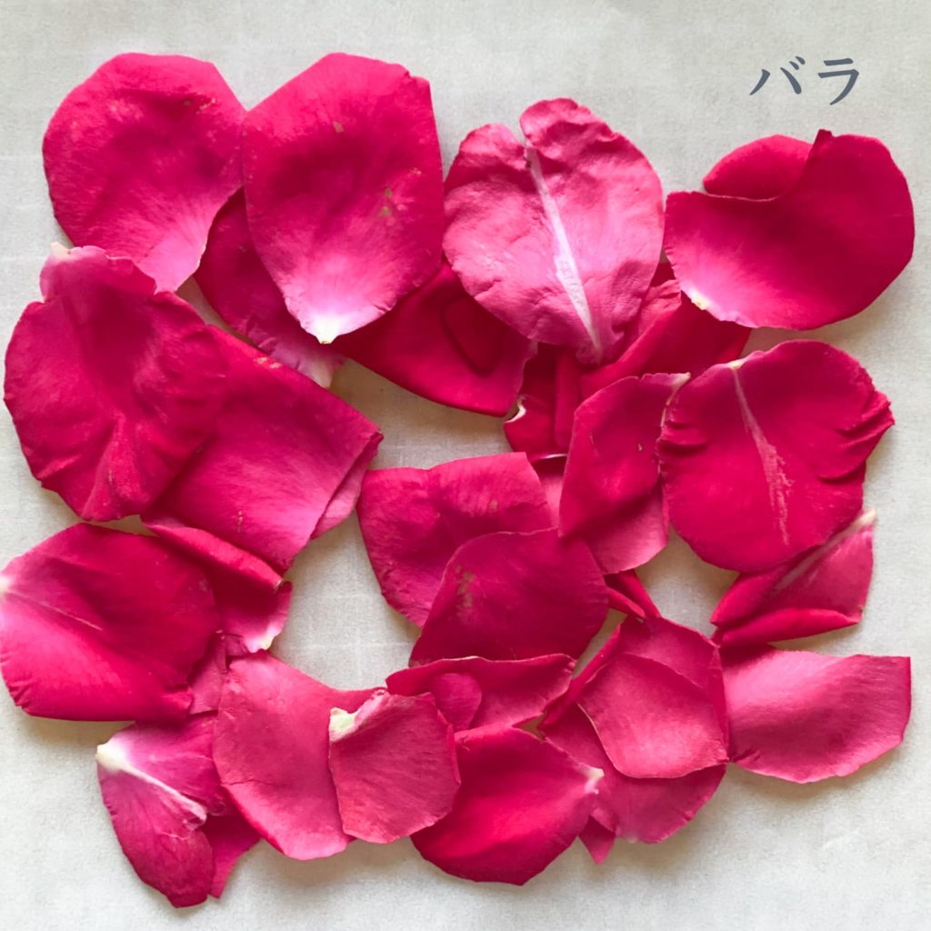 バラ