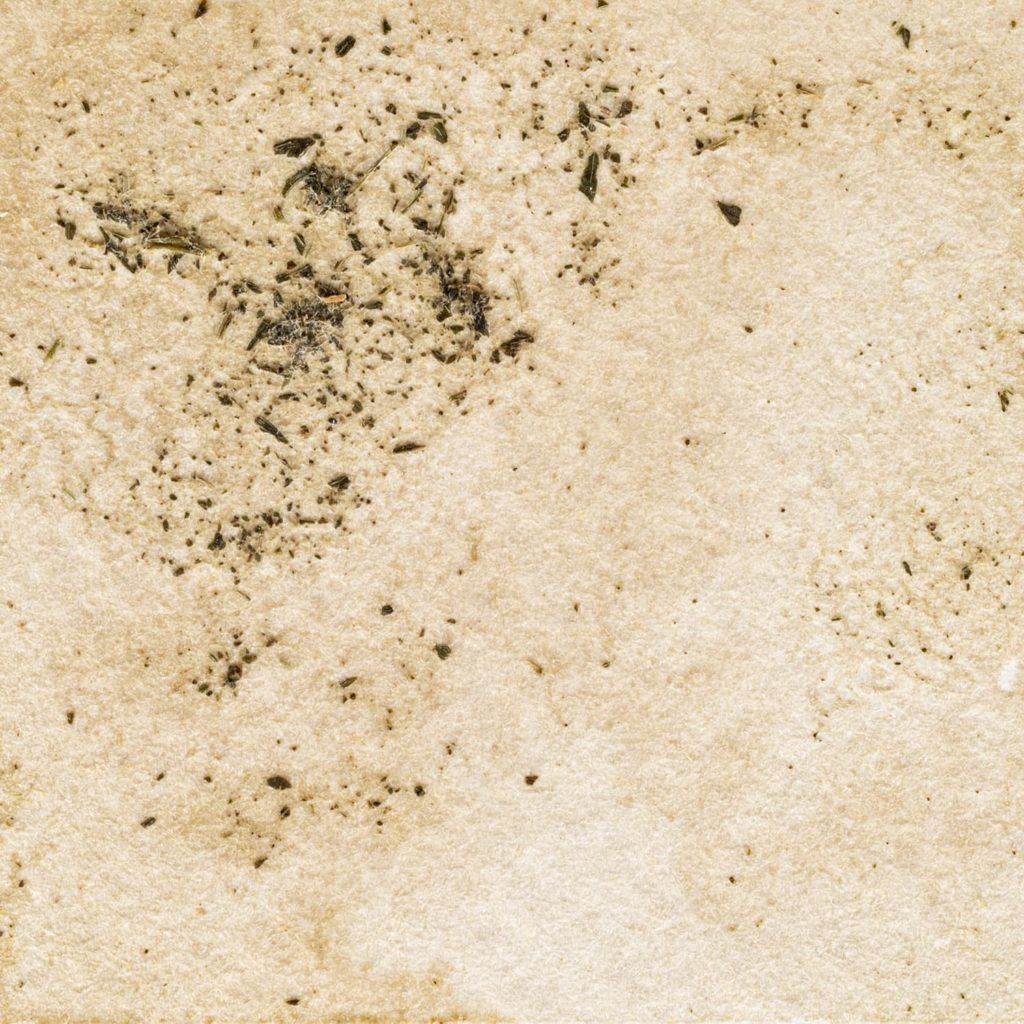 18　まっちゃグリーン