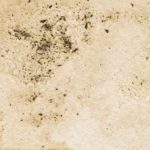 18　まっちゃグリーン