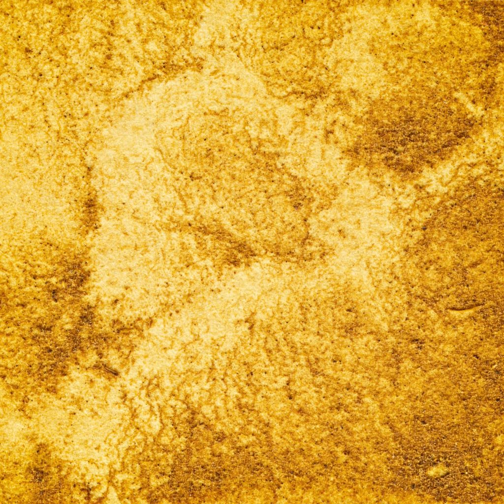 21　カレーのきいろ