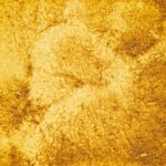 21　カレーのきいろ