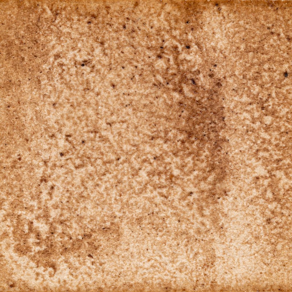 22　ツツジの色