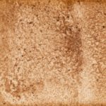 22　ツツジの色