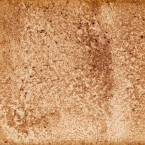 22　ツツジの色