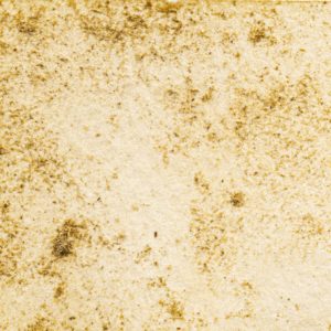 23　くさみどり