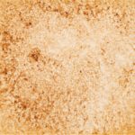 26　ウォンブラウン