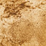 29　ぞうのうんち