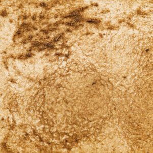 29　ぞうのうんち