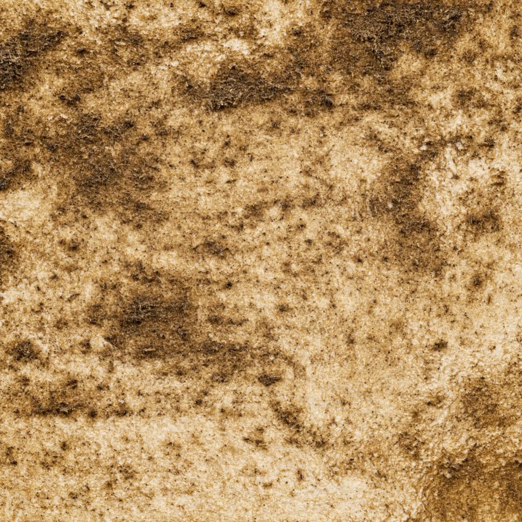 30　コーヒーのドロドロ