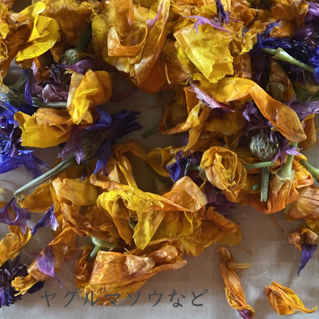 ヤグルマソウなど