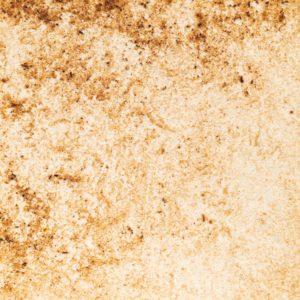 37　セージちゃ