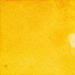 38　キクオレンジ