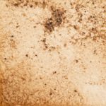 41　だーくぶらうん