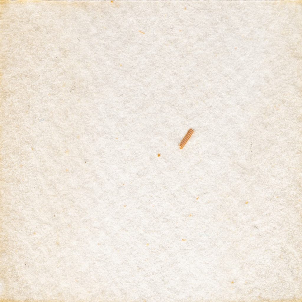 45　稲イエロー