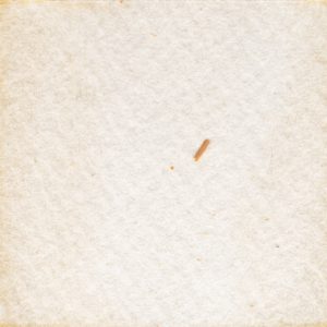 45　稲イエロー