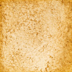 47　こげちゃいろ