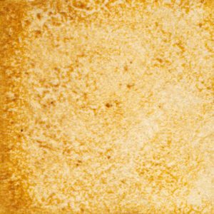 48　ひまわりいろ