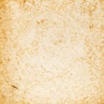 50　ねむの木にぼし