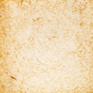 50　ねむの木にぼし