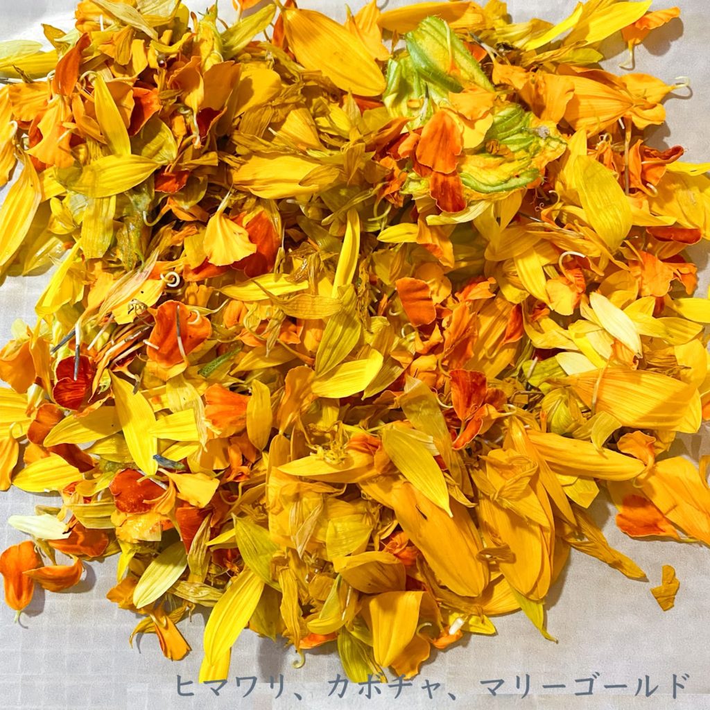 ヒマワリ、カボチャ、マリーゴールド