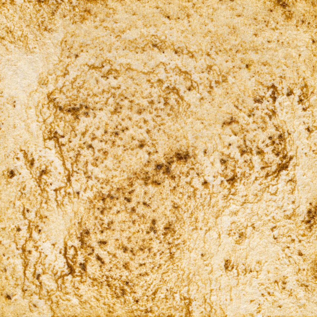 53　ブルーベリーいろ