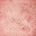 54　あかいはなのいろ