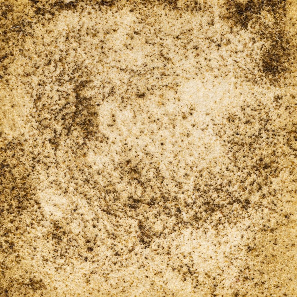 55　よもぎグリーン