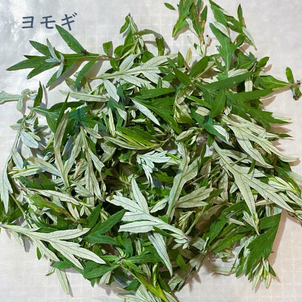 ヨモギ