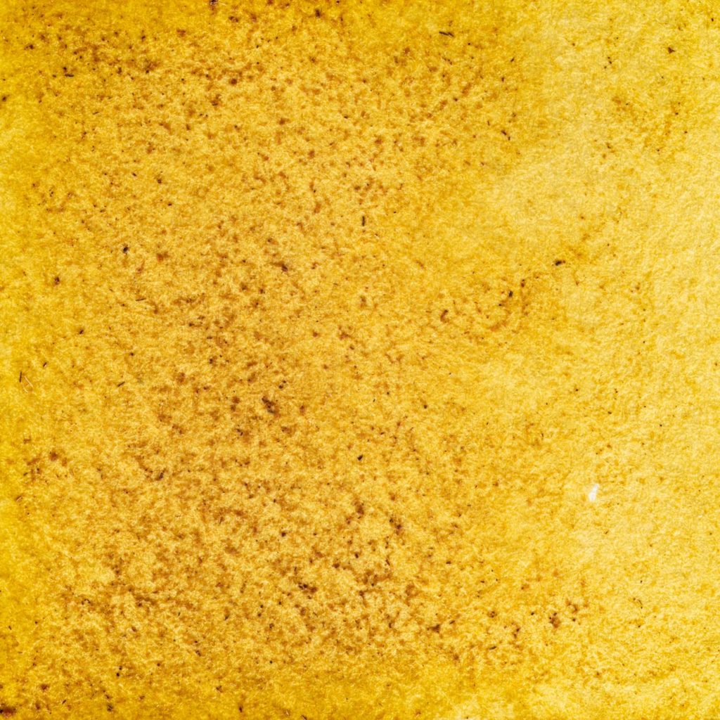 58　みかんいろ