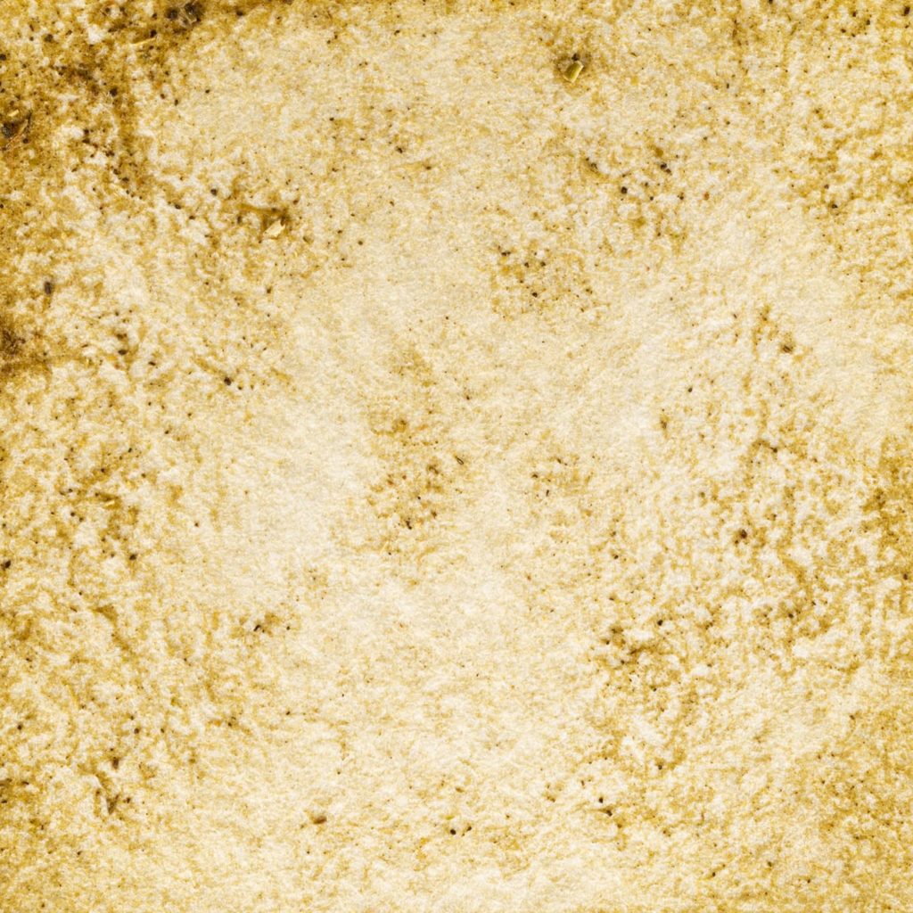 61　バラちゃん