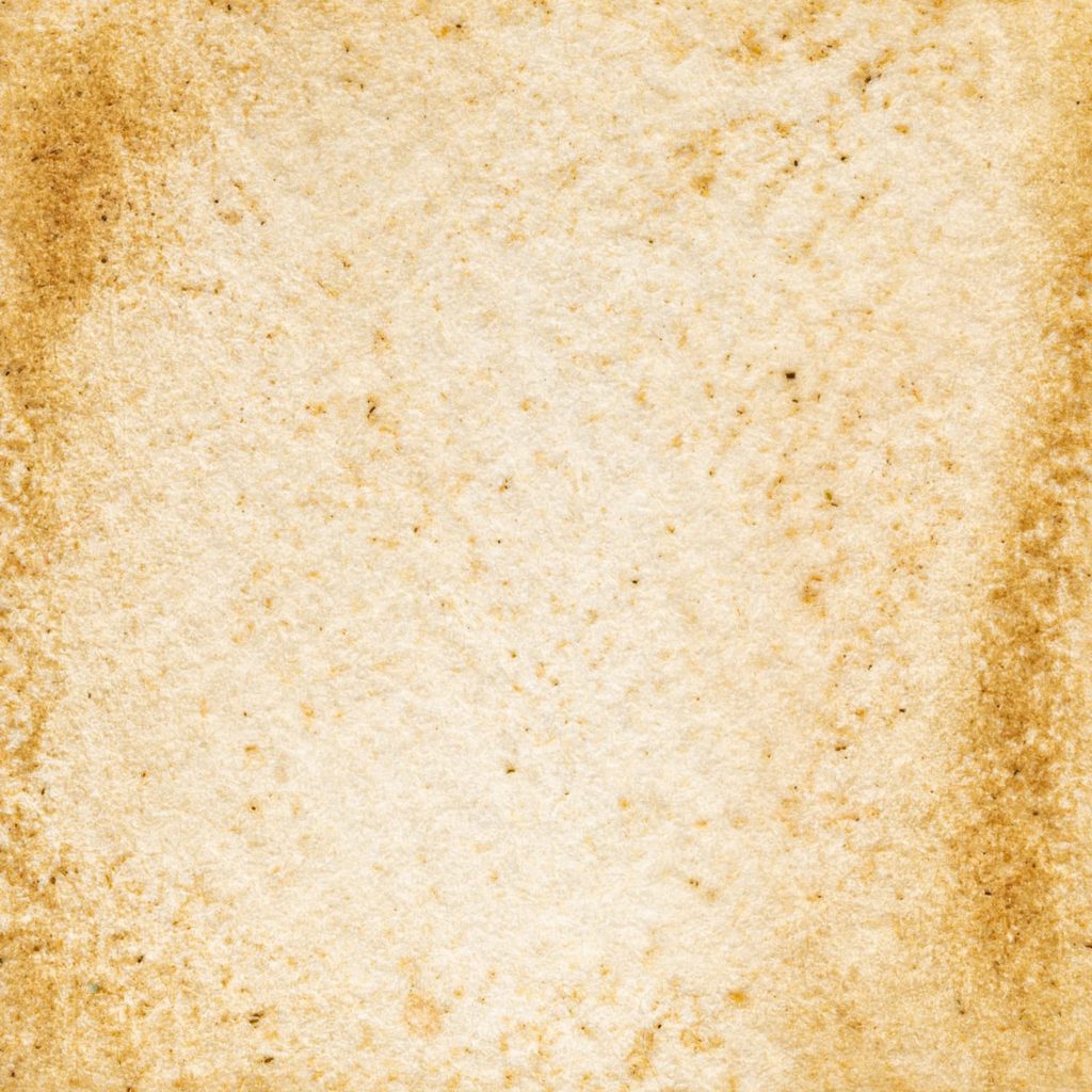 62　アカツメシーゴバラ