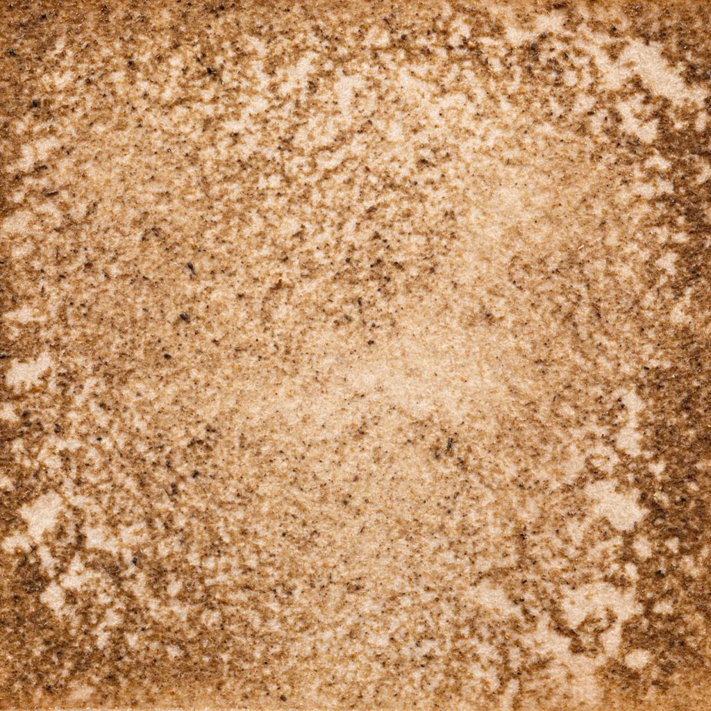 65　バーベナグリーン