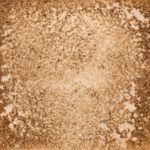 65　バーベナグリーン