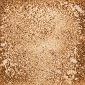 65　バーベナグリーン