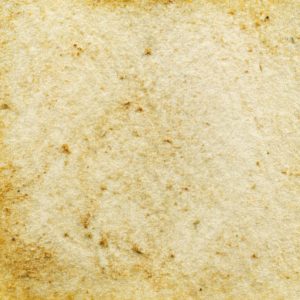 67　きょうりゅういろ