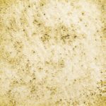 68　あさがおいろ